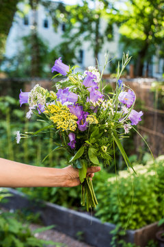 Gardener holding bouquet of fresh cut homegrown flowers