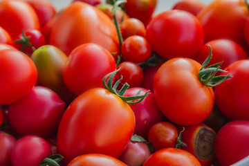 Healthy eating Vegetables on the salad. Good harvest. Close-up. Fresh organic tomatoes in a basket on a wooden table in the garden.