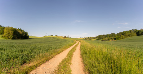 Fototapeta na wymiar Country road through the fields