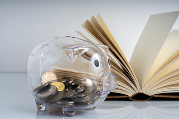 Piggy bank and book with educational concept.