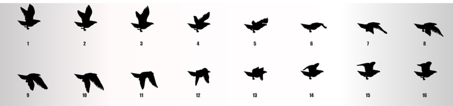 Eagle flying animation sequence, silhouette, loop animation sprite sheet 