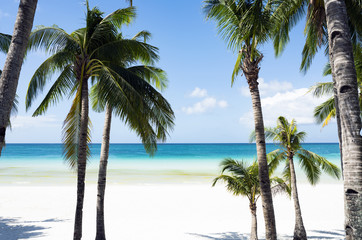Fototapeta na wymiar (Selective focus) Stunning view of a white sand beach bathed by a turquoise sea and beautiful coconut palm trees in the foreground. White Beach, Boracay Island, Philippines.