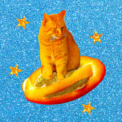 Contemporary art funny collage. Red cat surfing on bread