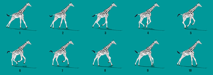 Fototapeta premium Giraffe run cycle animation frames, loop animation sequence sprite sheet 
