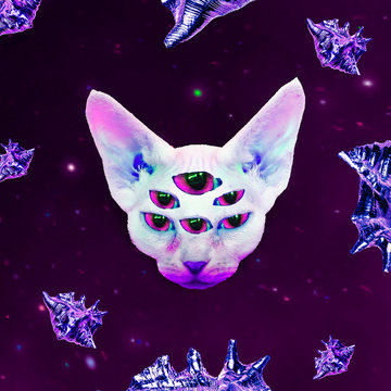 Alien Cat Images Browse 121 Stock Photos Vectors And Video Adobe Stock