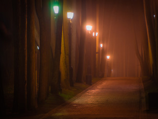 Walkway in the night park at foggy weather illuminated by old fashioned lanterns. Street lights and tall trees near pavement in the night.