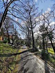 Footpath in Avenham and Miller Park, Preston 