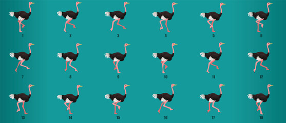 Fototapeta na wymiar Ostrich Run Cycle animation sequence, loop animation sprite sheet