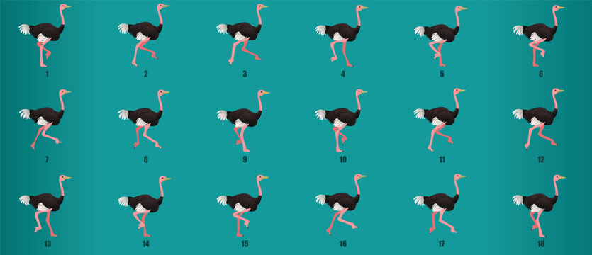 Ostrich Run Cycle animation sequence, loop animation sprite sheet