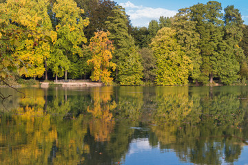 Reflections of lakeside trees on the lake surface in Lyon, France