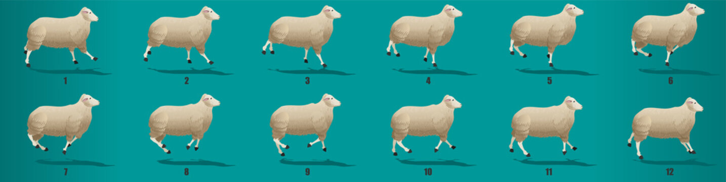 Sheep Run Cycle Animation Frames, Loop Animation Sequence Sprite Sheet 