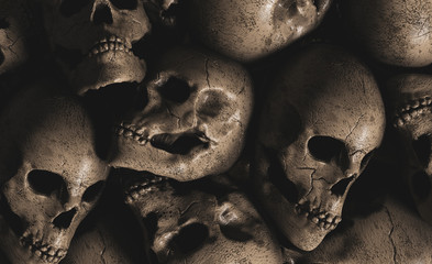 Human skulls background