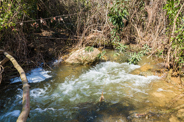 The rapid,  shallow, cold mountain Ayun river in the Galilee in northern Israel