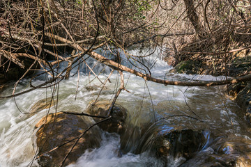 The rapid,  shallow, cold mountain Ayun river in the Galilee in northern Israel
