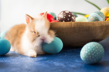 Easter bunny and basket with colorful eggs and feathers. Easter holiday decorations , Easter concept background.