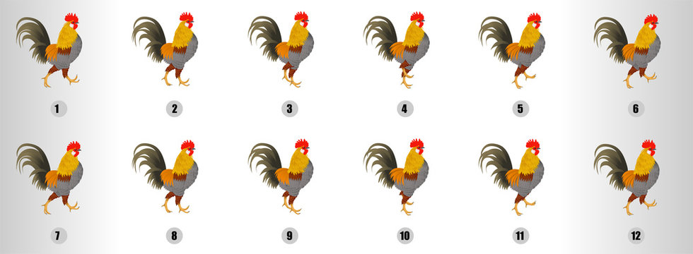 Cock Walk Cycle animation sequence, loop animation sprite sheet