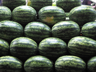 Full frame shot of fresh watermelon for sale in local market. watermelon  background, farmer fruit market.