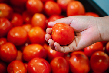 Woman hand picking up tomato in supermarket. woman shopping in a supermarket and buying fresh organic vegetables. Healthy eating Concept.