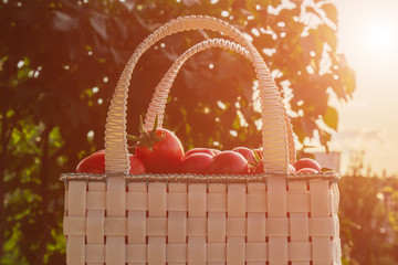 Healthy eating Vegetables on the salad. Good harvest. Close-up. Fresh organic tomatoes in a basket...