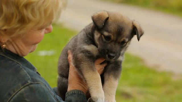 Woman holding small puppy in her hands