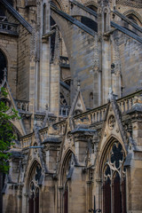 facade of cathedral of Notre Dame