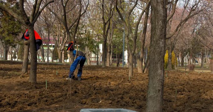 Spring work behind the Amir Temur Museum Tashkent, Uzbekistan. Dripping the ground. Beautification of the garden. People in Orange Vests. BMPCC4K