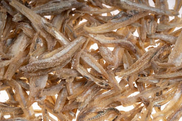 Anchovies close up view with white background