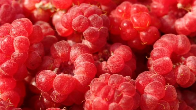 Pile of raspberries in closeup