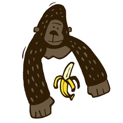 バナナを食べようとしているゴリラ © Tabata Art Studio