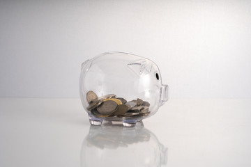 Piggy bank with white background with educational concept.