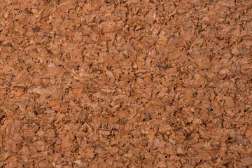 Brown, textured Cork tree background, close up