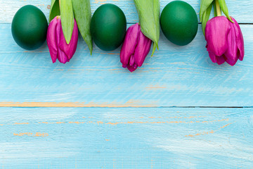 Easter eggs with colorful pink tulips on a blue painted spring background.