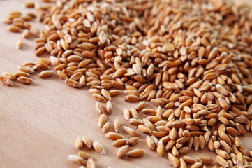 Weizen, Roggen, Korn, Brot, Saat