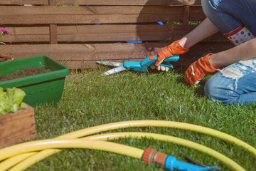 Woman  holding grass shears cutting an edge of the lawn in the garden