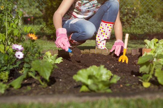 Woman planting lettuce and tomatoes