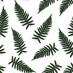 Fern, tropical forest plant leaves seamless illustration. Simple herbal pattern. Tropical fern grass herb seamless fabric background.