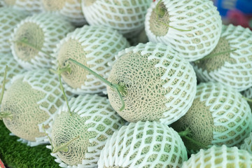 Fresh melon protect with foam net. Agriculture concept