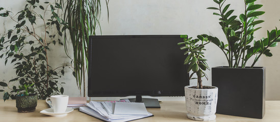Workplace  home among plants in the home garden, the concept of freelance, work at home, a cozy...