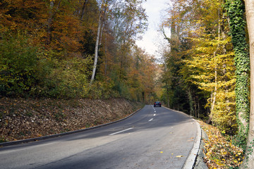 Rural road in autumn in Switzerland in the canton of Wintherthur
