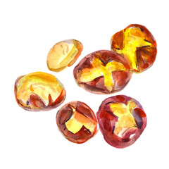 Fried chestnuts isolated watercolor illustration object set. Hand drawn nut set.