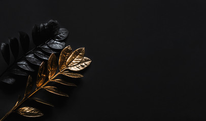  Black plants and golden plants on black background.Luxurious black minimalist trendy 2020. Floral natural wide horizontal decoration with top view and copy space. FLATLAY
