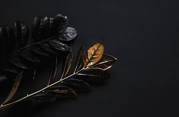  Black plants and golden plants on black background.Luxurious black minimalist trendy 2020. Floral natural wide horizontal decoration with top view and copy space. FLATLAY