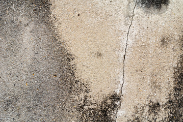 texture of crack cement concrete wall. image for background.
