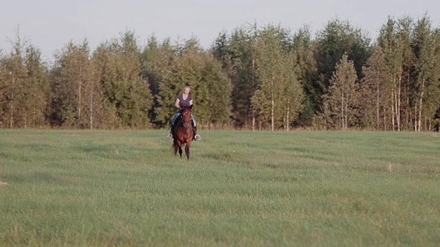 A girl rides a horse towards the camera on the field. Beautiful shots. Horse ride in the evening