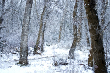 Fototapeta na wymiar Impressionistic Style Artwork of a Cold Snowy Winter Forest