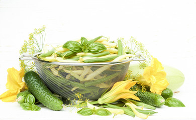 Variety of first green vegetables and herbs: cucumber, green string bean, basil, zucchini, dill flowers isolated on white wooden background, closeup, copy space, organic vegan food concept