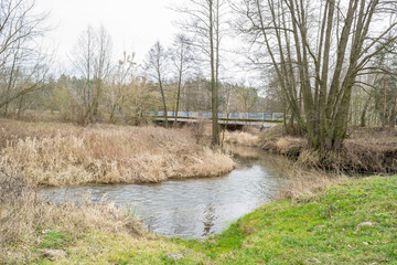 A small, wild river in central Poland.
