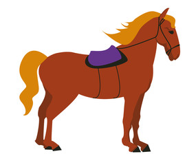 Equestrian, derby sport flat hand drawn color illustration. Stallion. Equestrianism. Racehorse hand drawn clipart. Horse racing competition.Professional jockeys, riders. Hippodrome, isolated.