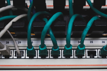 Inside of a server room. A lot of green cables in connectors. Equipment service in datacenter....