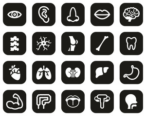 Human Anatomy Or Human Body Parts Icons White On Black Flat Design Set Big